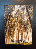 Kühschrankmagnet Wald in Winterberg