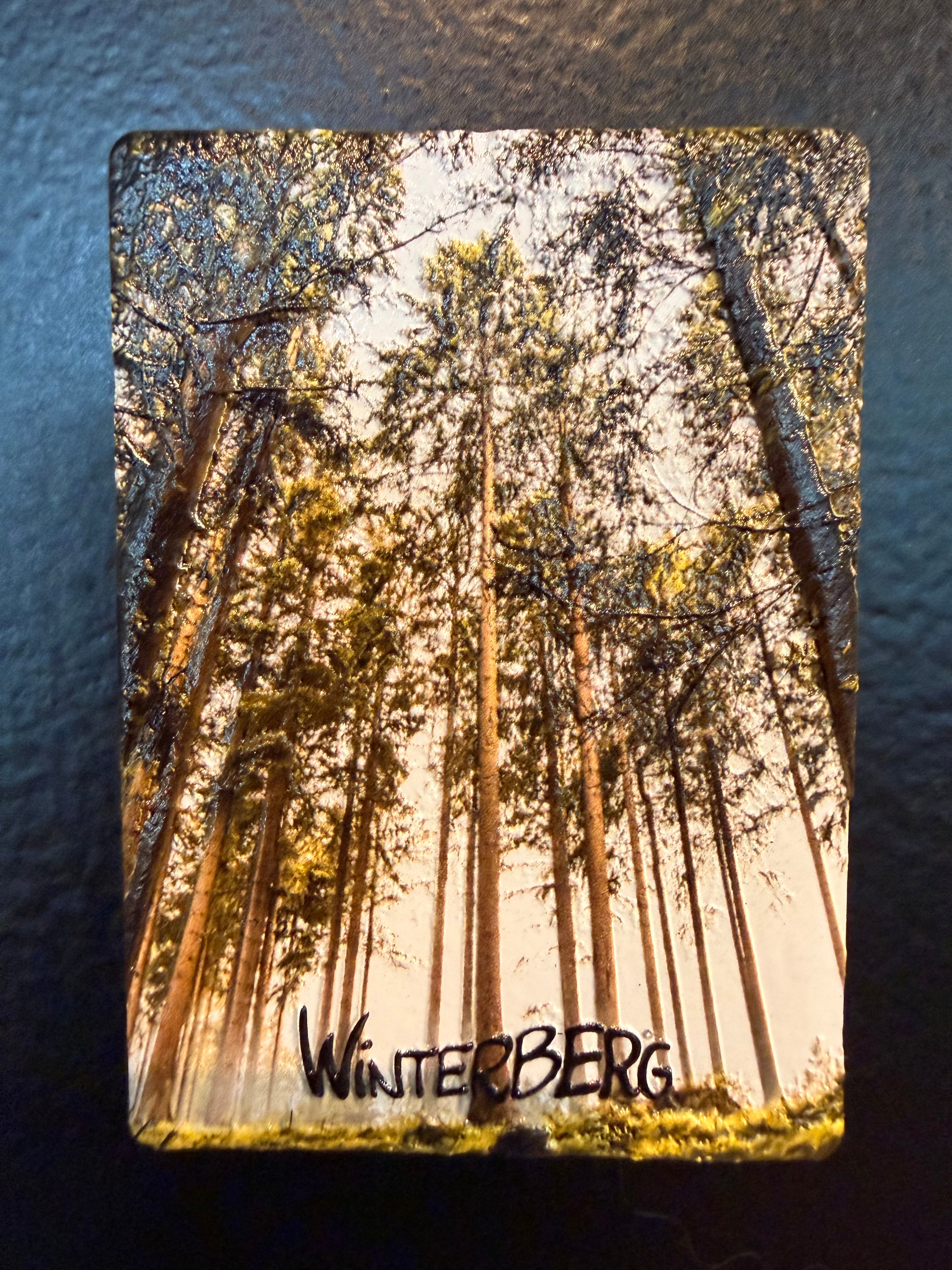 Kühschrankmagnet Wald in Winterberg