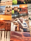Kühschrankmagnet mit dein Foto - ab 14,95 €